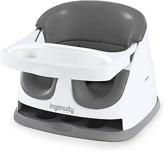 Ingenuity Baby Base 2-in-1 Seat