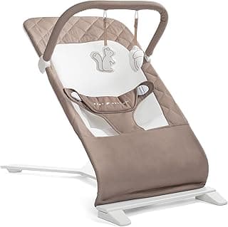 Baby Delight Alpine Bouncer